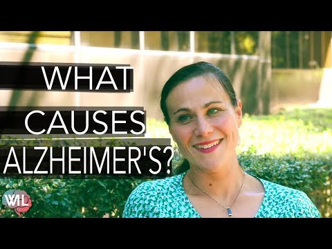 the-alzheimer's-antidote:-can-we-prevent-type-3-diabetes?-|-amy-berger