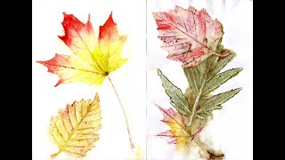 Printing with Leaves and Ink