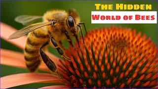 The Hidden World of Bees | 100 Million Years Older Than Us