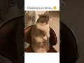 invigilator ❎ CCTV ✅ 😭#cat#funny#meme#tranding#cute