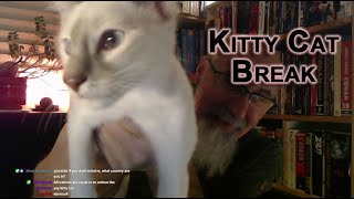 Kitty Cat Break screenshot 2