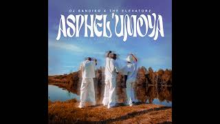 Dj Sandiso  The Elevatorz Feat Masi  Mac Drizzy  Asphelumoya