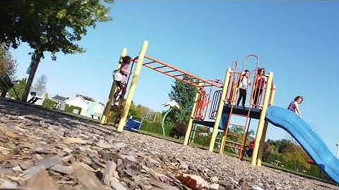 DJI Mavic Mini crashing in a tree