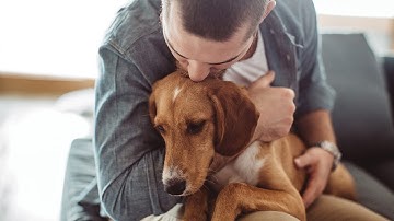 Send a Pet Sympathy Card through Remember A Pet and Make an Impact