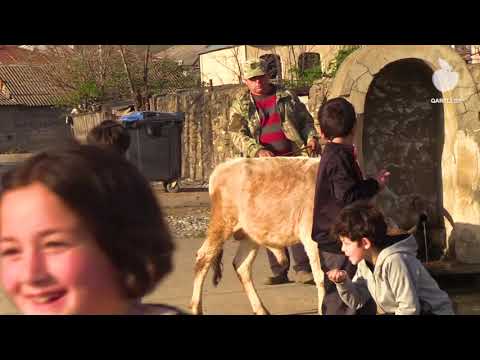 საოკუპაციო რეჟიმისგან დაზარალებულები ტახტისძირში