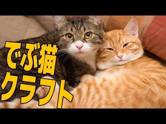 マインクラフト 大体3時間30分の死闘 実況プレイ Part21 でぶ猫クラフト ゲーム実況byポッキー ゲーム実況アンテナ マインクラフト 大体3時間30分の死闘 実況プレイ Part21 でぶ猫クラフト ゲーム実況byポッキー ゲーム実況アンテナ