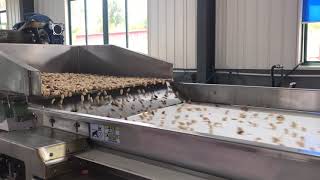 Fried peanuts sorting by new type color sorter, auto-clean the oil, dust successfully