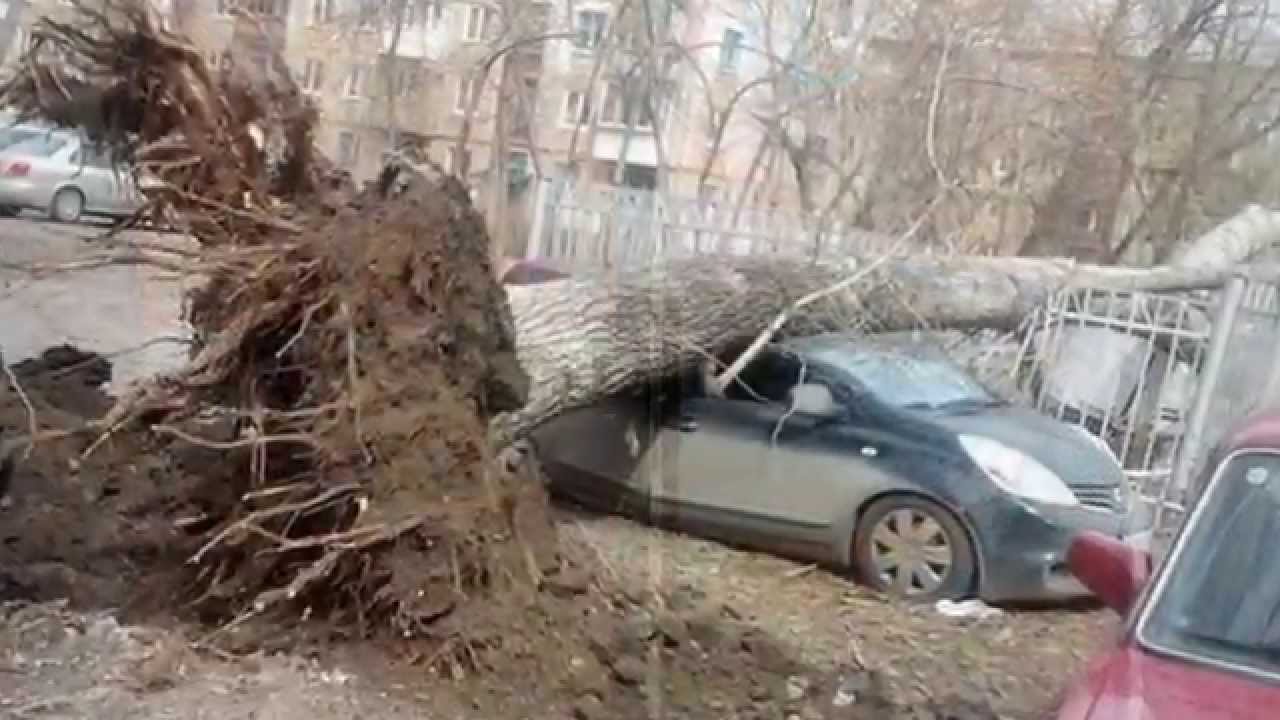 Ветер в машине