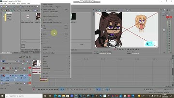 How To Make Going Weirdness Every With Sappire On Vegas Pro (For QBert2010)