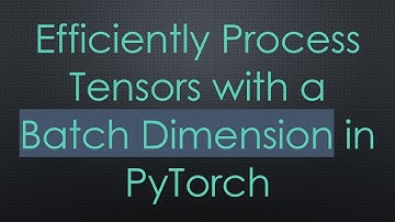 Efficiently Process Tensors with a Batch Dimension in PyTorch