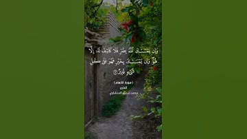 سورة الأنعام آيه ١٧#القرآن_الكريم #العراق #اكسبلور #لايك #تيك_توك #المنشاوي #duet #ترند #الجزائر
