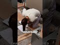 Ці жінки… #жарти #мем