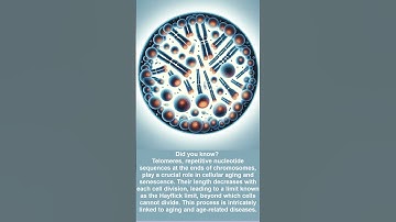 Leaf of Science #2: Telomere Length and Aging