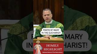 Fr. Chris Alar talks about the photo of Mary in the Eucharist #catholic #eucharist #frchrisalar