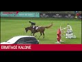 Ermitage kalone  france etalons