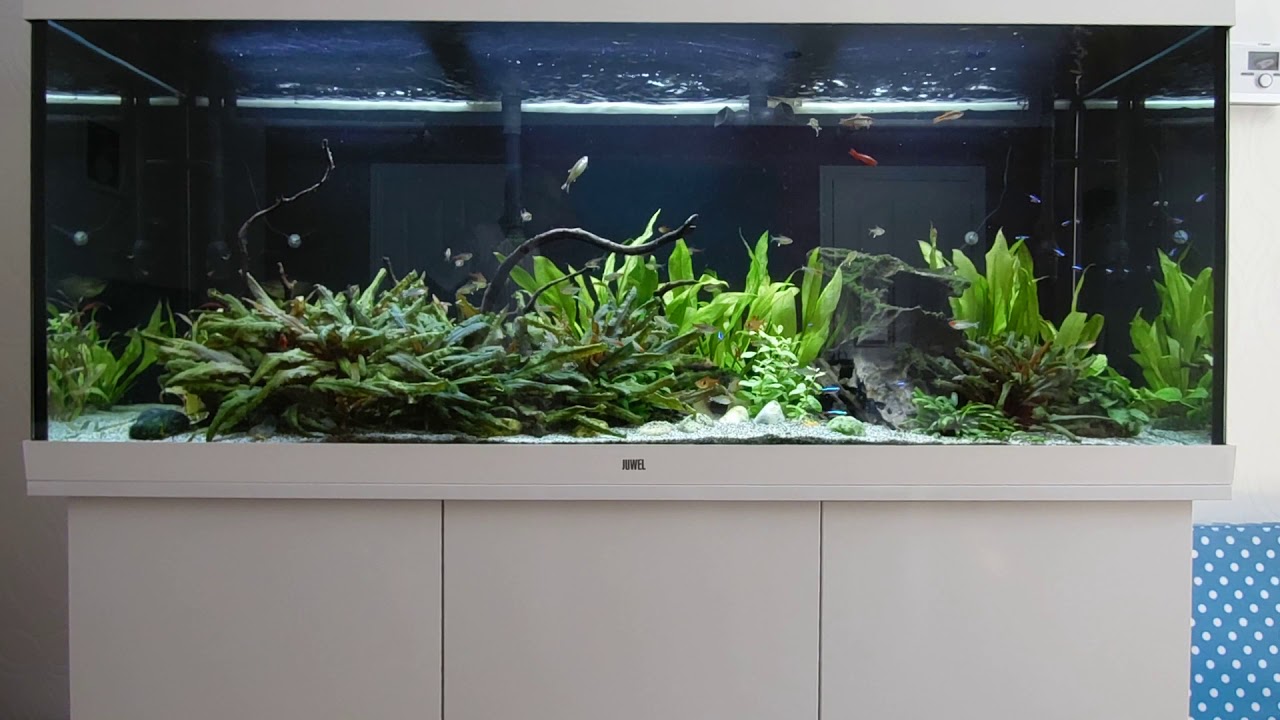 Rio 450 LED  JUWEL Aquarium