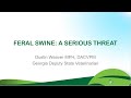 Feral Swine: A Serious Threat