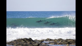 8 Reasons Surfing Blows Our Minds - Part 2 #OurBluePlanet – WSL