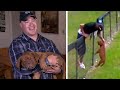 Mechanic Returns Stolen Mastiff Dog to Texas Owner