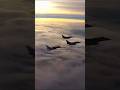 jet #jet #shortsviral #viral #viral #f22 #fighterjet