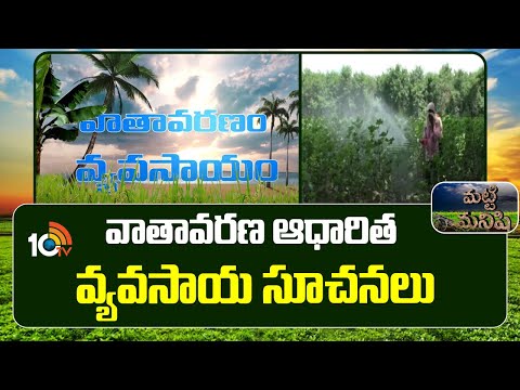 Weather Based Agricultural Instructions | వాతావరణ ఆధారిత వ్యవసాయ సూచనలు | Matti Manishi | 10TV News - 10TVNEWSTELUGU
