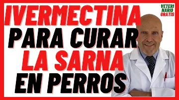 ¿Cómo se llama la vacuna para la sarna en perros?