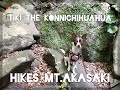 Hiking Mt. Akasaki in Sasebo, Japan