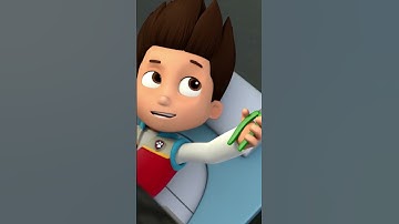 Chase is on the case! Puptacular contest! #PAWPatrol #Shorts