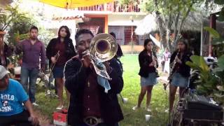 Arrazadora Banda Nm De Nejapa De Madero Yautepec, Oaxaca - Dueño De Nada