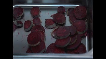 Beet slicing with curved slicing disc FCC-5+ (3/16")