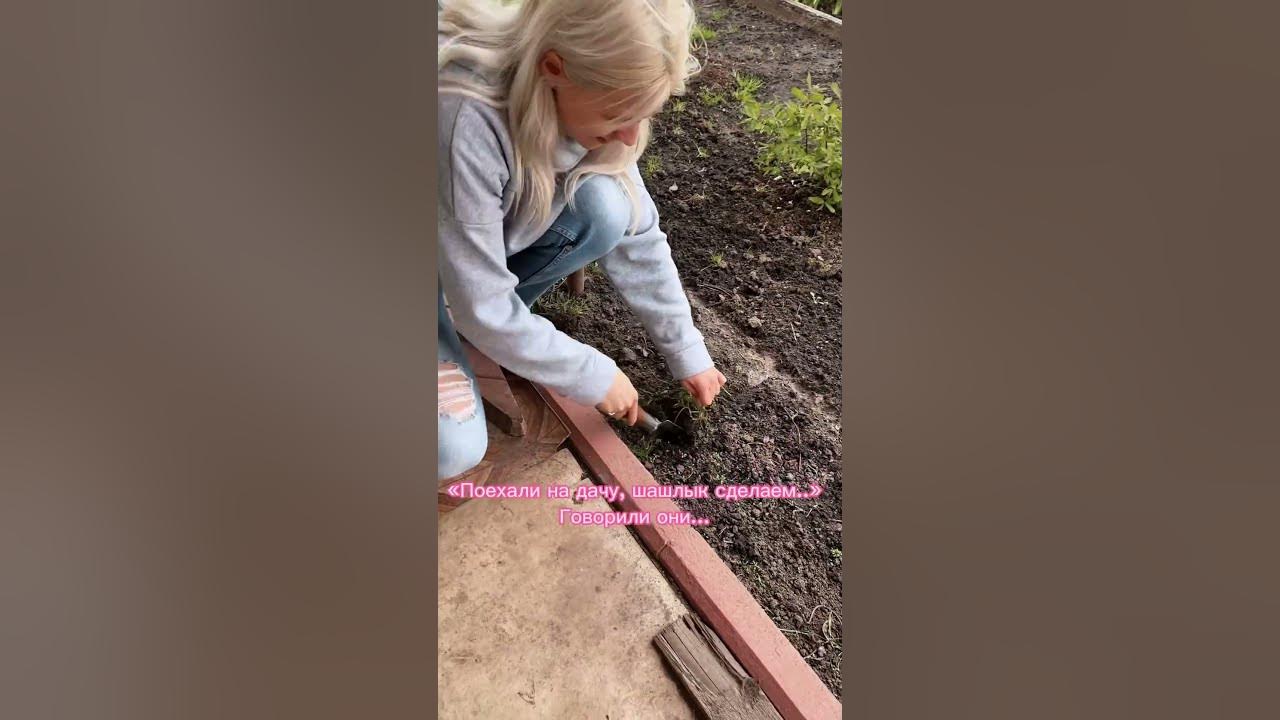 МИР, ТРУД, МАЙ🌿🌞💪🏻 #юмор - YouTube