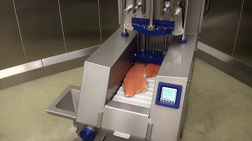 Salmon | Günther PI 17 – PI 21M/26M/52M – PIH 57M | Precipak