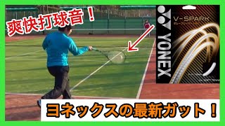 【ソフトテニス　Vスパーク】　最新ガットを後衛目線で！！