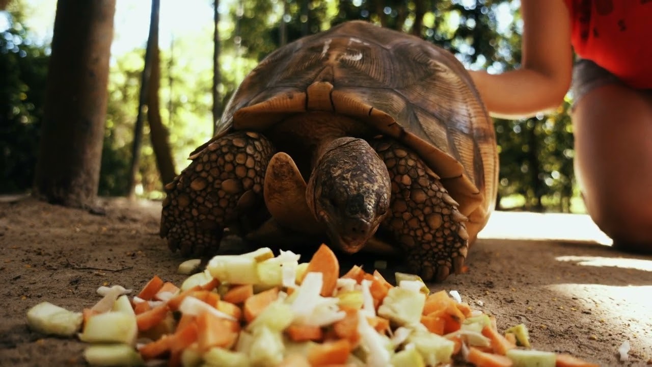 Cheetah's Rock - best alternative to kitesurfing on Zanzibar Island.