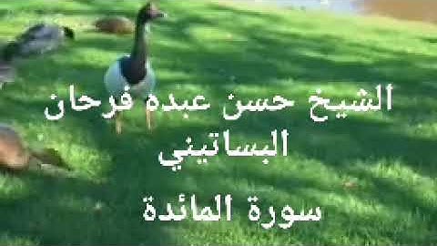 الشيخ حسن عبده فرحان البساتيني التلاوات النادره سورة المائدة كامله