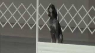 Jeb Heeling (again!) and Directed Jumping