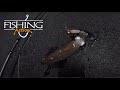 Squid Fishing - Sydney Wharfs and Piers | Fishing Action