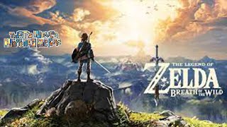 That's Never Happened Before - The Legend Of Zelda: Breath Of The Wild
