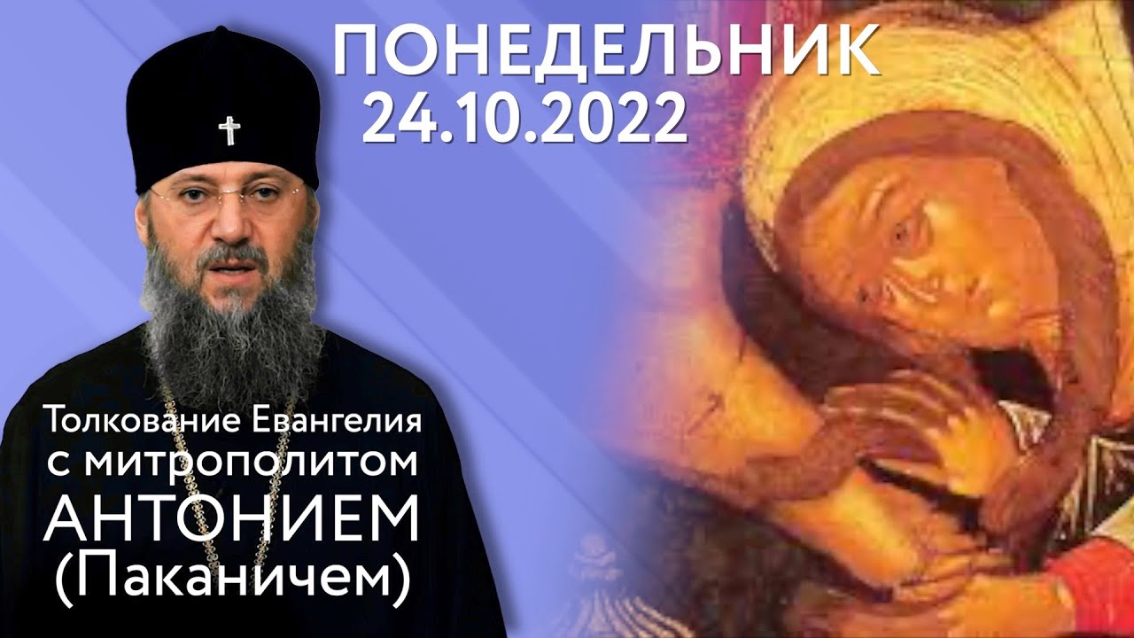 Евангелие дня 24 февраля 2024 года. Православный праздник 26 октября 2022 года. 25 Октября праздник православный 2022. 24 Октября праздник православный. 24 Октября праздник божественный.