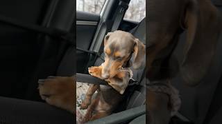 At some point you have to just give up… 😂❤️