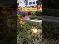 Ganda Ng garden may ilaw #trending #goodvibes #shortvideo #city