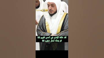#القرآن_الكريم #سورة التين  #تلاوات #الشيخ  د. الوليد بن خالد الشمسان