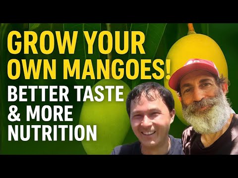 Why Growing Your Own Mangos Makes All The Difference