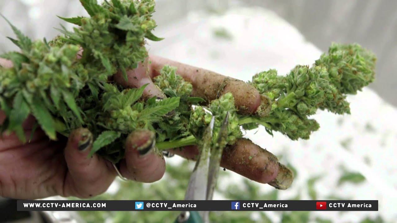 Summit of Americas to discuss war on drugs, US-Cuba relations