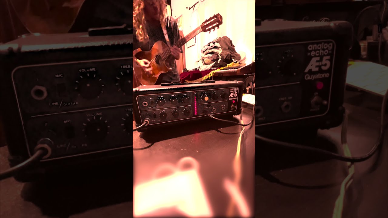 *値下げ* Guyatone AE-5 analog echo Vintage 値下げ* Guyatone AE-5 analog echo Vintage