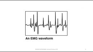 EE 372|BIOMECICAL INSTRUMENTATION | S6 EEE | MODULE 1 | ERG,ERG,EOG ANG EGG|
