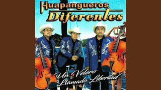 Video thumbnail of "Huapangueros Diferentes - Zapateando En Sonora"