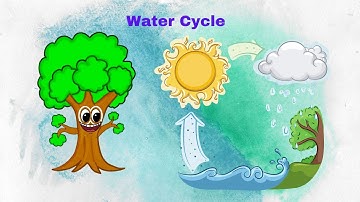 Learn Water Cycle  Animation Using Scratch / Water Cycle / Water Cycle Diagram / Hydrologic Cycle