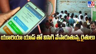 Farmers Distressed Over Urea App Server Glitches | యూరియా యాప్ తో విసిగి వేసారుతున్న రైతులు - TV9