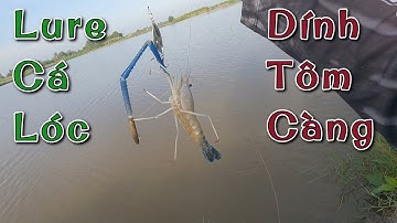 Du Câu 4 Tỉnh, Đóng Cá Đã Tay Và Cái Kết Bất Ngờ || VR Fishing #95